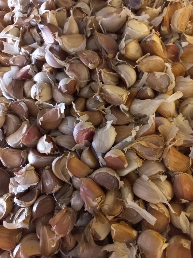 장터 상품 [홍산마늘(종자용쪽분리)] 썸네일