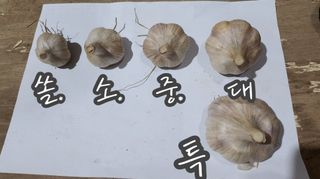 조새힘님의 작성글 사진