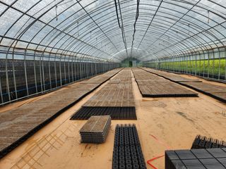 재거이님의 양파 · 영농일지 작성글 사진