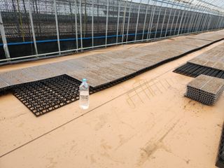 재거이님의 양파 · 영농일지 작성글 사진