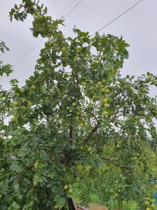 차상철님의 자유주제 · 자유게시판 작성글 사진