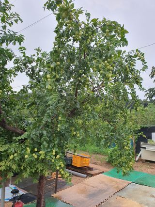 차상철님의 자유주제 · 자유게시판 작성글 사진