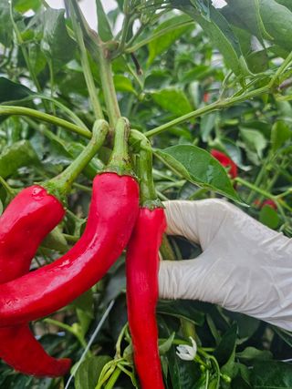 김미애님의 자유주제 · 자유게시판 작성글 사진