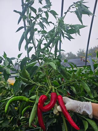 김미애님의 자유주제 · 자유게시판 작성글 사진