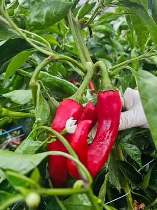 김미애님의 자유주제 · 자유게시판 작성글 사진