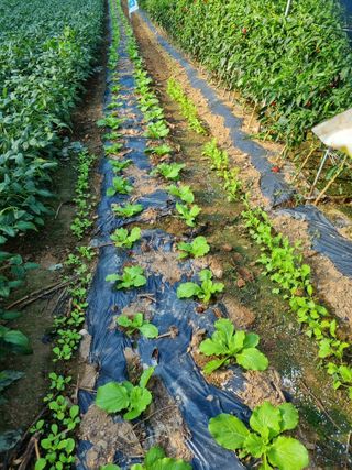 이상응님의 자유주제 · 자유게시판 작성글 사진