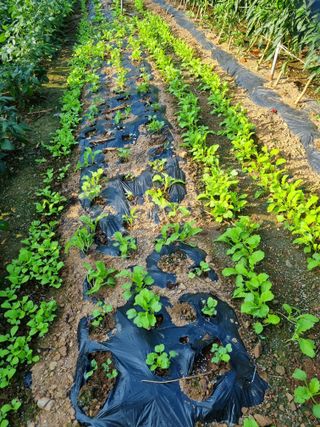이상응님의 자유주제 · 자유게시판 작성글 사진