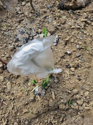 김용대님의 자유주제 · 자유게시판 작성글 사진