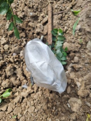 김용대님의 자유주제 · 자유게시판 작성글 사진