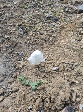 김용대님의 자유주제 · 자유게시판 작성글 사진