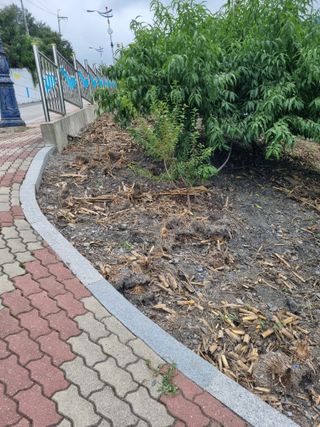 김용대님의 자유주제 · 자유게시판 작성글 사진