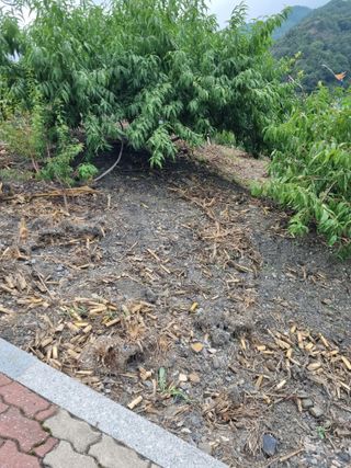 김용대님의 자유주제 · 자유게시판 작성글 사진