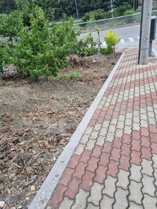 김용대님의 자유주제 · 자유게시판 작성글 사진