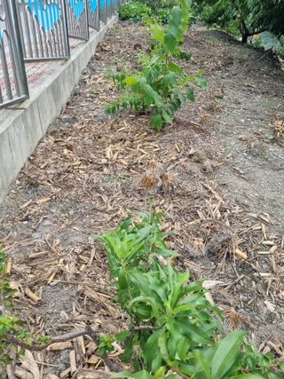 김용대님의 자유주제 · 자유게시판 작성글 사진