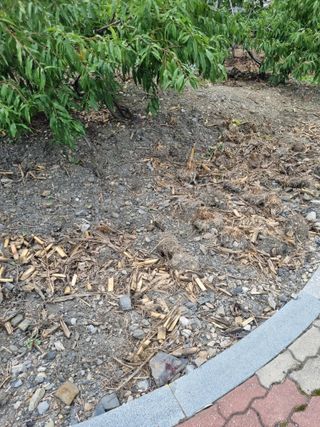 김용대님의 자유주제 · 자유게시판 작성글 사진