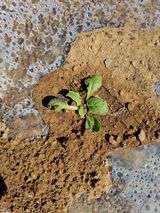 팜모닝 자유주제·자유게시판 게시글 이미지