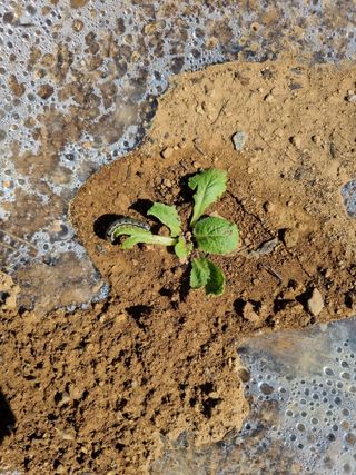 서순희님의 자유주제 · 자유게시판 작성글 사진