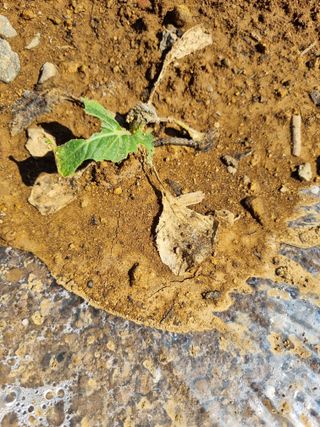 서순희님의 자유주제 · 자유게시판 작성글 사진