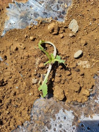 서순희님의 자유주제 · 자유게시판 작성글 사진