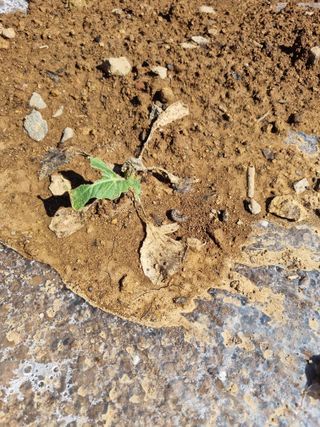 서순희님의 자유주제 · 자유게시판 작성글 사진