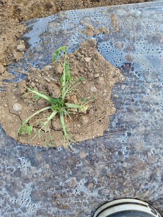 서순희님의 자유주제 · 자유게시판 작성글 사진