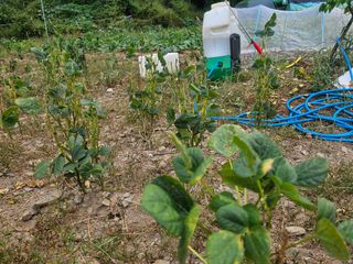 farmer님의 자유주제 · 자유게시판 작성글 사진