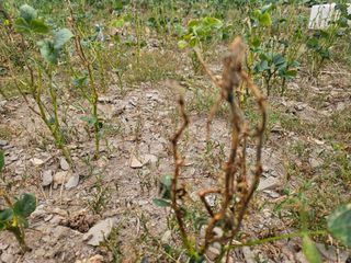 farmer님의 자유주제 · 자유게시판 작성글 사진