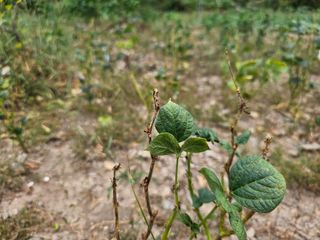 farmer님의 자유주제 · 자유게시판 작성글 사진