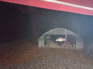 혜향님의 자유주제 · 자유게시판 작성글 사진