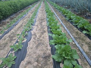 능행님의 자유주제 · 사진전 작성글 사진