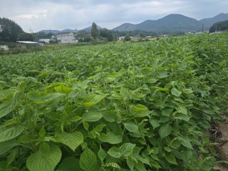 능행님의 자유주제 · 사진전 작성글 사진