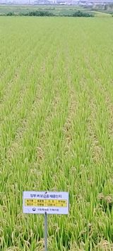 팜모닝 벼·영농일지 게시글 이미지