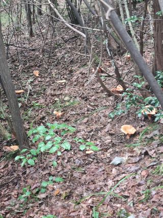 김선두님의 자유주제 · 자유게시판 작성글 사진