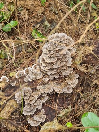 김선두님의 자유주제 · 자유게시판 작성글 사진