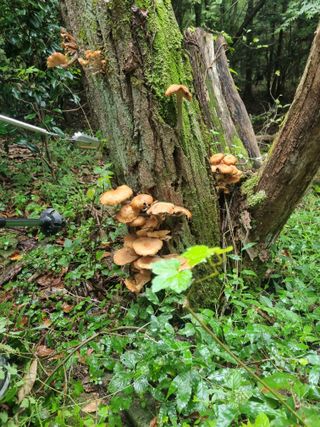 김선두님의 자유주제 · 자유게시판 작성글 사진