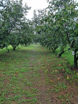 자연농원 윤상수님의 자유주제 · 자유게시판 작성글 사진