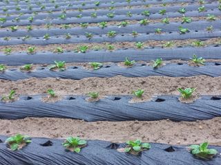 혜향님의 자유주제 · 자유게시판 작성글 사진