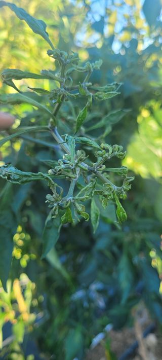 까마구님의 작성글 사진