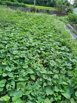 팜모닝 자유주제·사진전 게시글 이미지