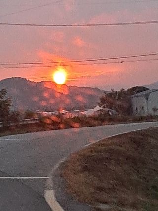 규수김님의 자유주제 · 자유게시판 작성글 사진