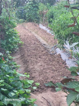 나미공주님의 자유주제 · 자유게시판 작성글 사진