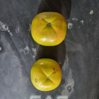 김현필님의 자유주제 · 자유게시판 작성글 사진