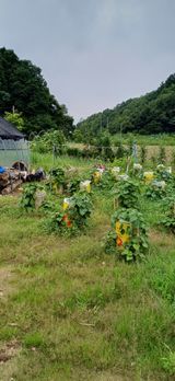 팜모닝 자유주제·자유게시판 게시글 이미지