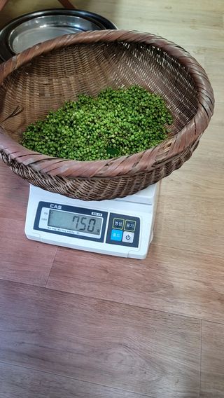 꽃님님의 자유주제 · 칭찬해요 작성글 사진