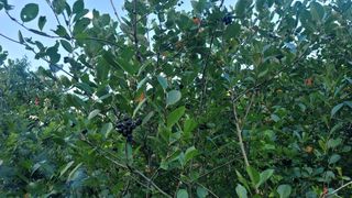 꽃님님의 자유주제 · 칭찬해요 작성글 사진