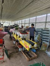 팜모닝 양파·영농일지 게시글 이미지