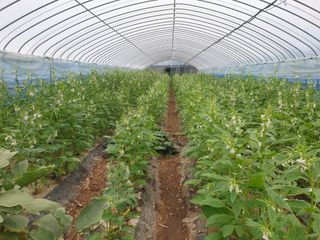 허굴산농장님의 자유주제 · 자유게시판 작성글 사진