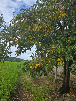 자연인님의 자유주제 · 자유게시판 작성글 사진