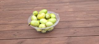 김정은님의 기타작물 · 자유게시판 작성글 사진