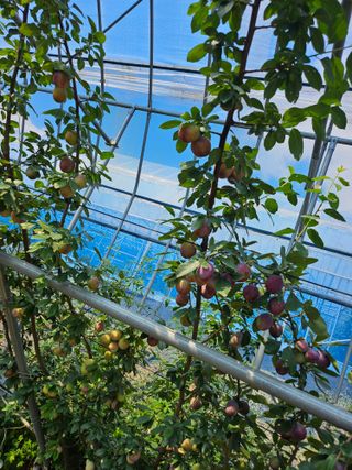 김치명님의 자유주제 · 자유게시판 작성글 사진